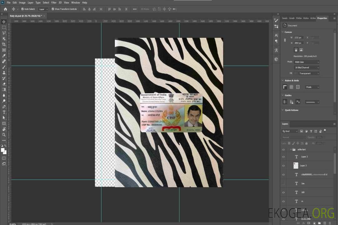 Inde CISF DL photolook AVANT template Inde CISF DL photolook AVANT template